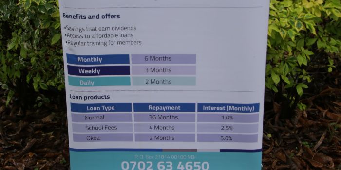 Untitled design (11)